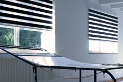 DuoRol-blinds